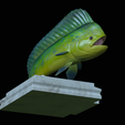 mahi-mahi-model-1-21.png fish mahi mahi / common dolphin trophy statue detailed texture for 3d printing