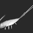 wimpod-7.jpg Pokemon - Wimpod with 2 poses