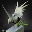 1styracbust1.jpg Styracosaurus Bust