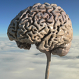 brain_render_3.2.png Mon cerveau ; scanné à partir d'une IRM