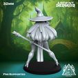 ElvenWitch02.jpg Elven Witch, 32mm, Ardent Dungeon #004