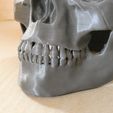 P1110160.jpg Skull and crossbones lid for SATA paint bucket 600ml