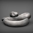hognose-snakes2.jpg Hognose snakes 3D print model