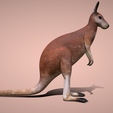 3.png Kangaroo 🦘🌿