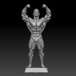 HUMAN-1.jpg Fichier STL CONSTRUCTEUR DE CORPS HUMAIN・Plan pour impression 3D à télécharger