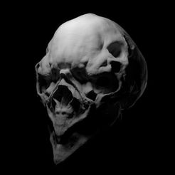 Capture.JPG Alien Birdman Skull