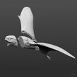 Anurognathus-in-parts.jpg Anurognathus ammoni, tiny pterosaur