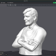 Pergolini3mf-2.png Mario Pergolini printable bust