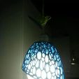 received_10211913870550249.jpeg Voronoi lamp