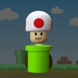 Toad-front.jpg Mario - TOAD