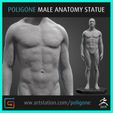 2.jpg Male Anatomy Statue
