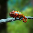 Furcifer-Pardalis-Chamaeleon_Base_Szene0000.jpg Furcifer pardalis ambanja panther chameleon - on AST - High 3D Print File Full Size Texture Any Scale! High polygon