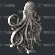 P335-1a.jpg octopus