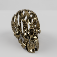 Spiral-skull.png Spiral Skull [with letters]