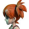2.jpg misty