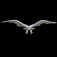 Capture-d’écran-2023-07-06-à-13.49.40.png crow raven