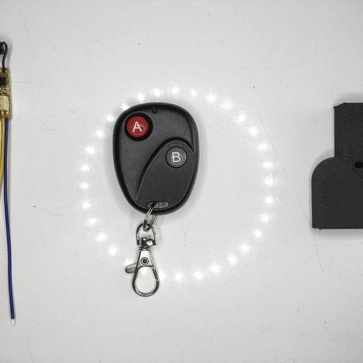 IMG_0594.JPG Remote + RF Relay (Nexem UD2-4) Case