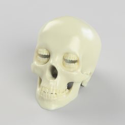 Skull-Corinthian.png Файл STL Коринфский череп [SANDMAN]・Шаблон для 3D-печати для загрузки