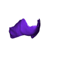 Jaw_macow.stl Fichier STL gratuit Squelette d'airains d'oiseaux・Modèle à télécharger et à imprimer en 3D