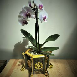 IMG_2511.jpg Descargar archivo STL gratis Especial Orquídea Modulable nº 1 símbolos de vida・Modelo para la impresora 3D