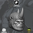 3.png SERIE RHINO TAS