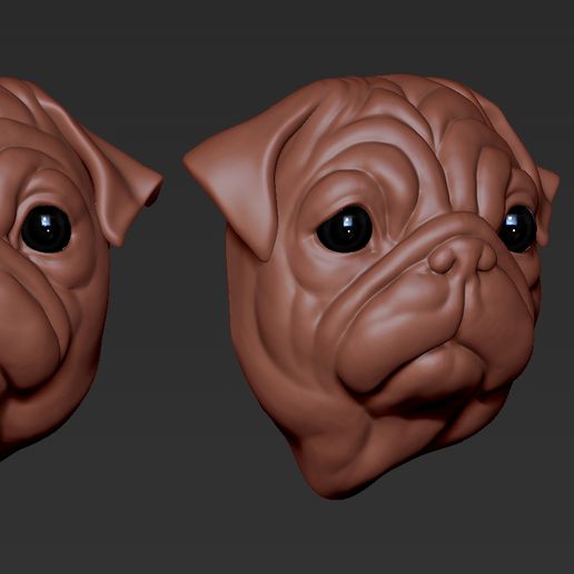 03.jpg Cabeza de doguillo