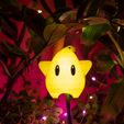 instagwamie-55-1.jpg Luma Star Lamp Ornament