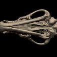 77.png Wolf Skull 3D Print Model