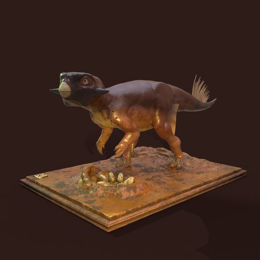 4.jpg Psittacosaurus SP