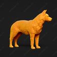 448-Australian_Cattle_Dog_Pose_02.jpg Australian Cattle Dog 3D Print Model Pose 02