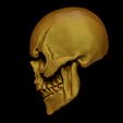 Craneorender5.0.jpg Skull / Skeletor Skull
