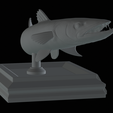 Barracuda-huba-trophy-20.png fish great barracuda statue detailed texture for 3d printing