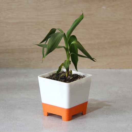 Square planter 3D model