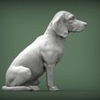 beagle6.jpg 3D-Datei Beagle 3D-Druckmodell・3D-druckbares Modell zum herunterladen