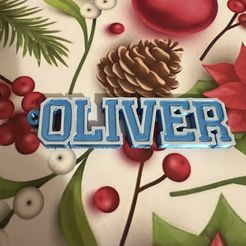 IMG_6866.jpeg oliver keychain