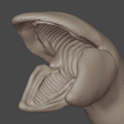 Dune_Worm_head.png Gusano de las dunas -Shai-Hulud- Modelo 3D