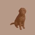 Bergamasco_Sheepdog_0001.jpg Bergamasco Sheepdog in Sitting Pose