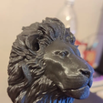 model_4fa6ced630f199b8ced37e30751c42e6.png lion head