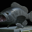 White-grouper-open-mouth-statue-26.png fish white grouper / Epinephelus aeneus open mouth statue detailed texture for 3d printing