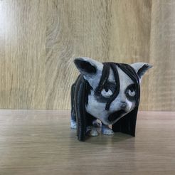 IMG_2325.jpg Fichier STL Cat The Grudge・Plan pour impression 3D à télécharger
