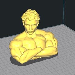 2_mr_olympia.jpg STL file Mr. Olympia・3D print model to download