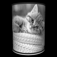 Vue-on_1.png STL file Cat lamp・3D printing design to download