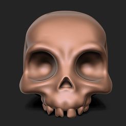 1.jpg Archivo STL Cráneo・Plan de impresión en 3D para descargar, yugeshsandhi