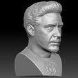 10.jpg Tony Stark Robert Downey Jr Iron Man bust for 3D printing