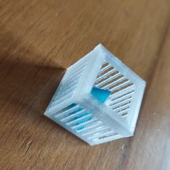 1700738363052.jpg Pyramide en cage