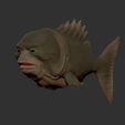 fish.jpg Creature From The Black Lagoon Fish
