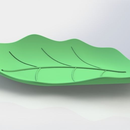leaf1.jpg tray