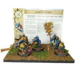 Kroaq's Guard Shield (Short Version C)