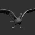 seagull-on-the-stone12.jpg Seagull on the stone 3D print model