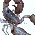 00B.jpg DOWNLOAD Scorpion 3d model - animated for blender-fbx-unity-maya-unreal-c4d-3ds max - 3D printing SCORPION Scorpion - RAPTOR - DINOSAUR - PREDATOR - ARACHNID -  DINOSAUR